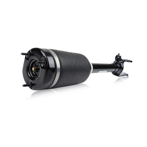 Air Suspension Strut 1643206113