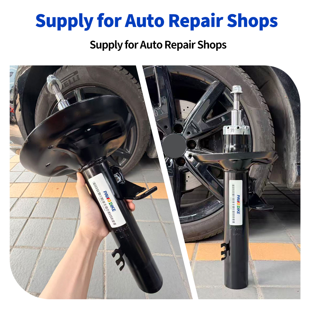 BMW Replacement Shock Absorber 31313453521 - 3