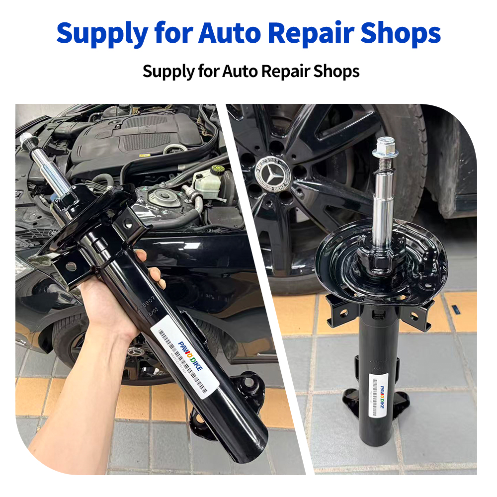 MERCEDES-BENZ Auto Shock 2043200130 - 3