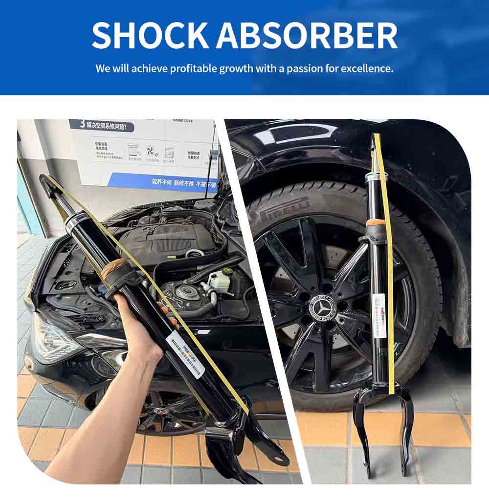 MERCEDES-BENZ Auto Shock Absorber 1663231000_02