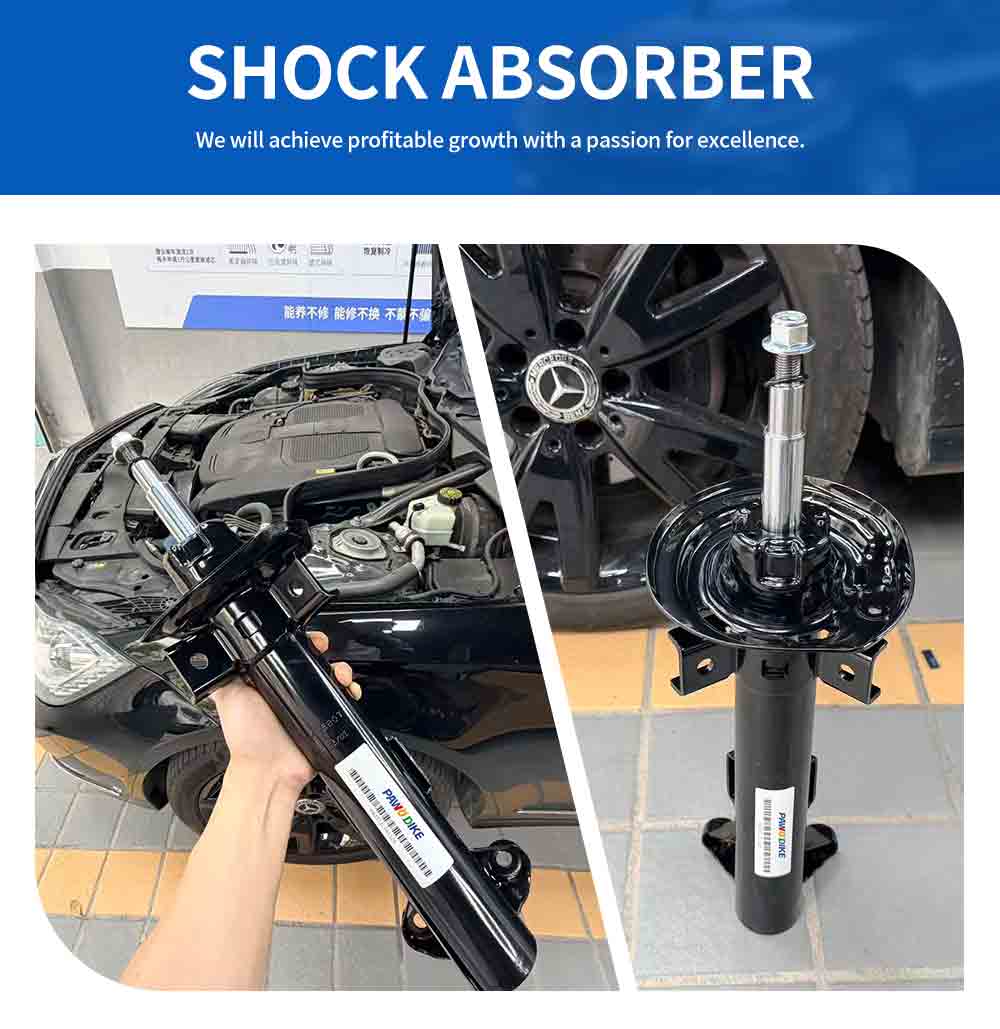 MERCEDES-BENZ Auto Shock 2043200130_02