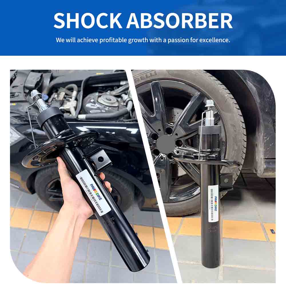 BMW Car Shock 31306885077_02