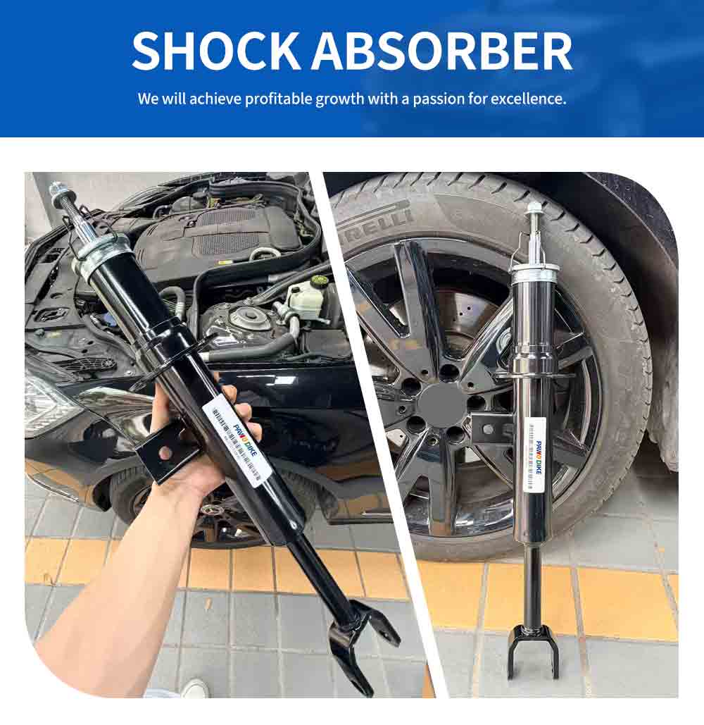 BMW Shock Absorber Assembly 31312454231_02