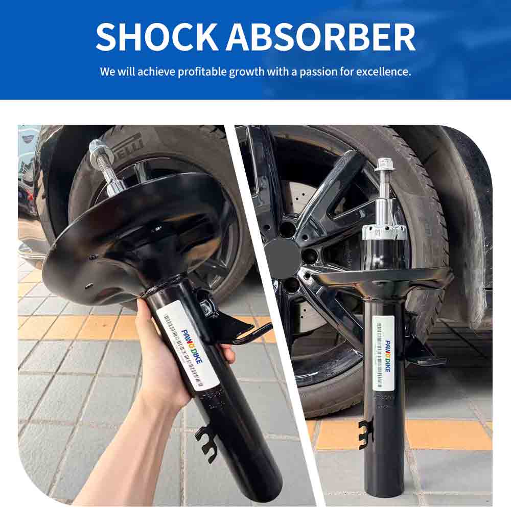 BMW Replacement Shock Absorber 31313453521_02