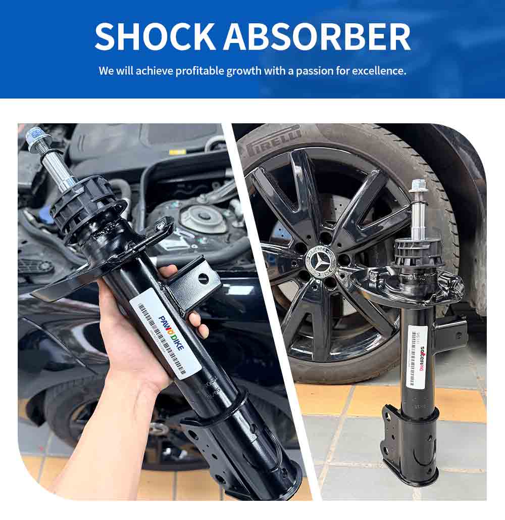 MERCEDES-BENZ Shock Absorber 1563231500_02